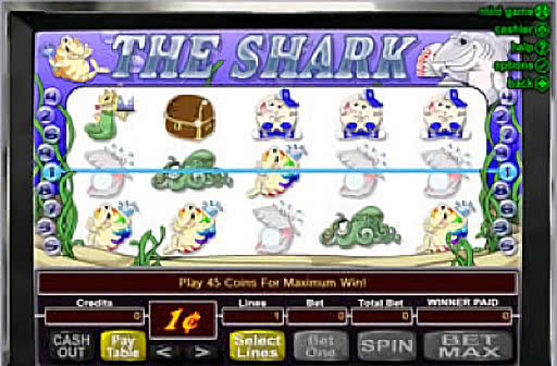 The Shark