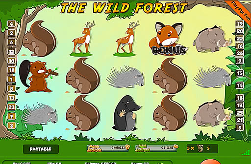 The Wild Forest