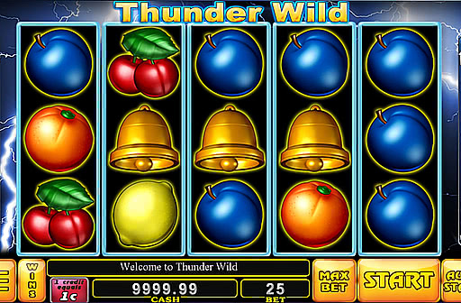 Thunder Wild