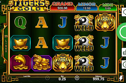 Tiger's Gold Hold and Win