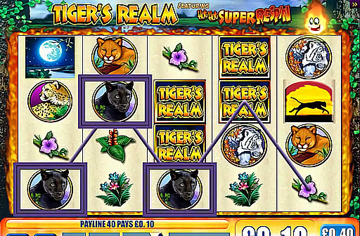 Tiger's Realm