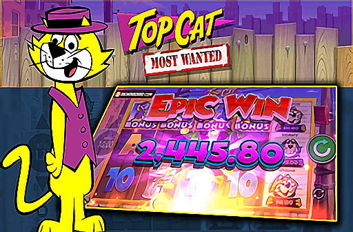 Top Cat Most Wanted