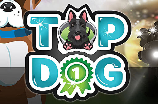 Top Dog