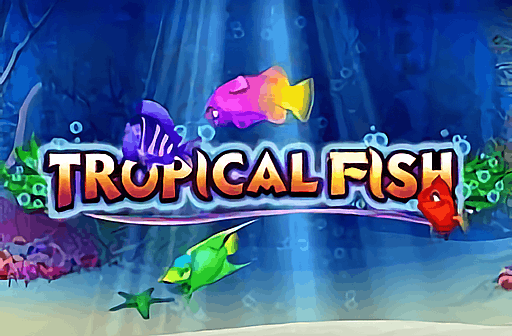 Tropical Fish