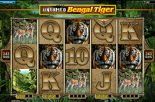 Untamed Bengal Tiger