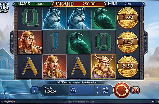 Vikings Fortune Hold and Win