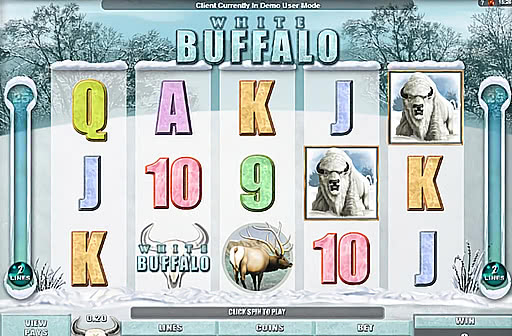 White Buffalo