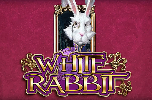 White Rabbit