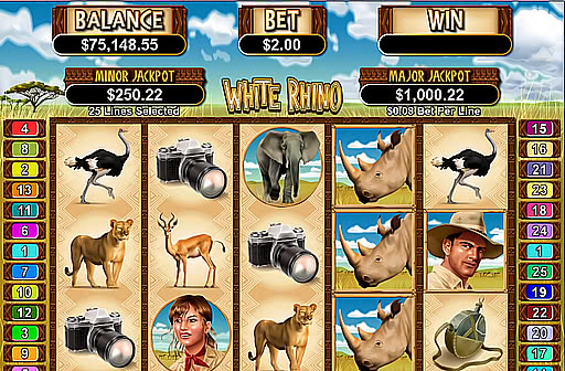 White Rhino