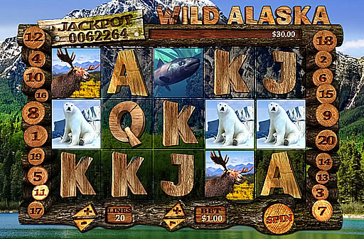Wild Alaska