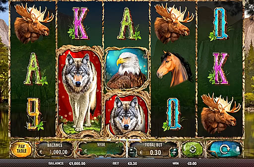 Wild Animals