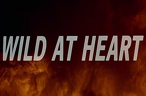 Wild at Heart