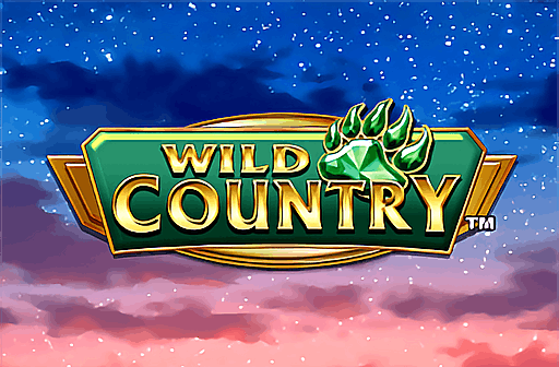 Wild Country