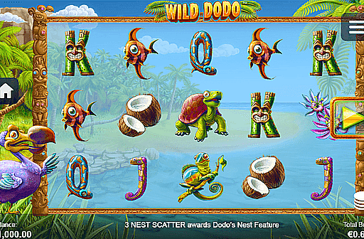 Wild Dodo