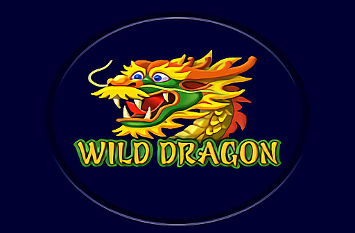Wild Dragon