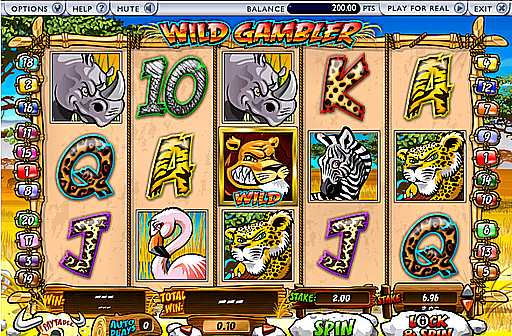 Wild Gambler