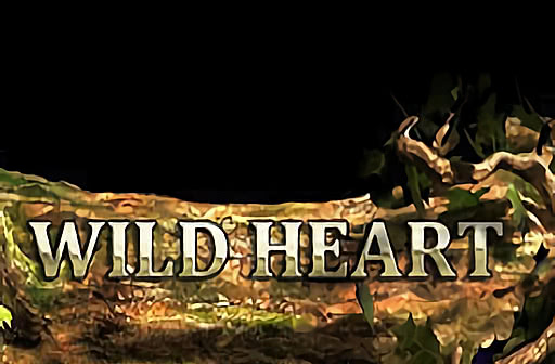Wild Heart