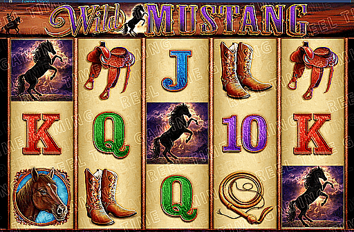 Wild Mustang