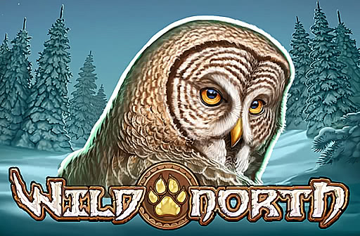 Wild North