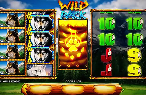 Wild Pack