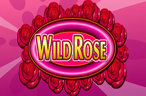 Wild Rose
