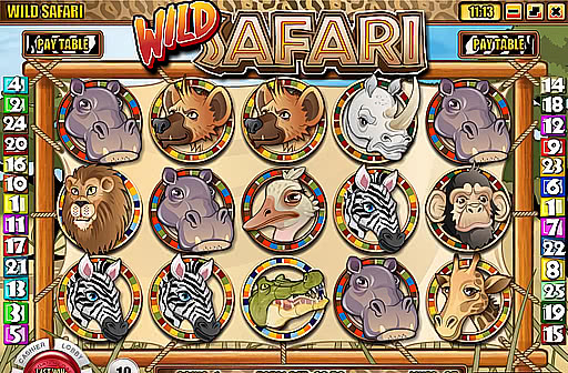 Wild Safari