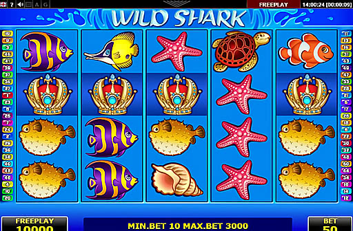 Wild Shark