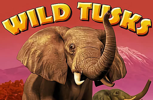Wild Tusks