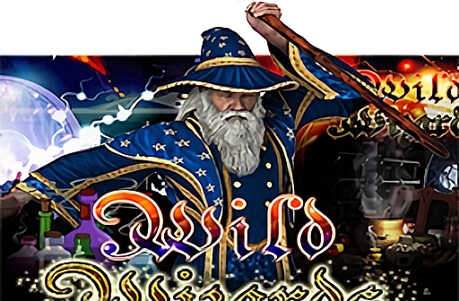 Wild Wizards