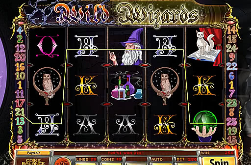 Wild Wizards