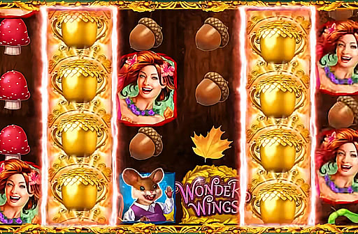 Wonder Wings Ruby Dash