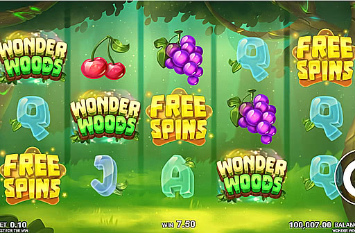 Wonder Woods