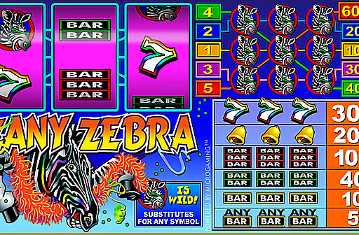 Zany Zebra